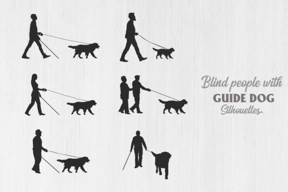 Blind People with Guide Dog Walking: An Embroidery Review