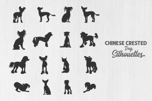 Chinese Crested Dog Silhouettes: Designer Review