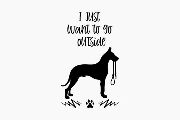 Dog Great Dane Ask to Go Outside